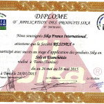 attestation-sika-france--pdf